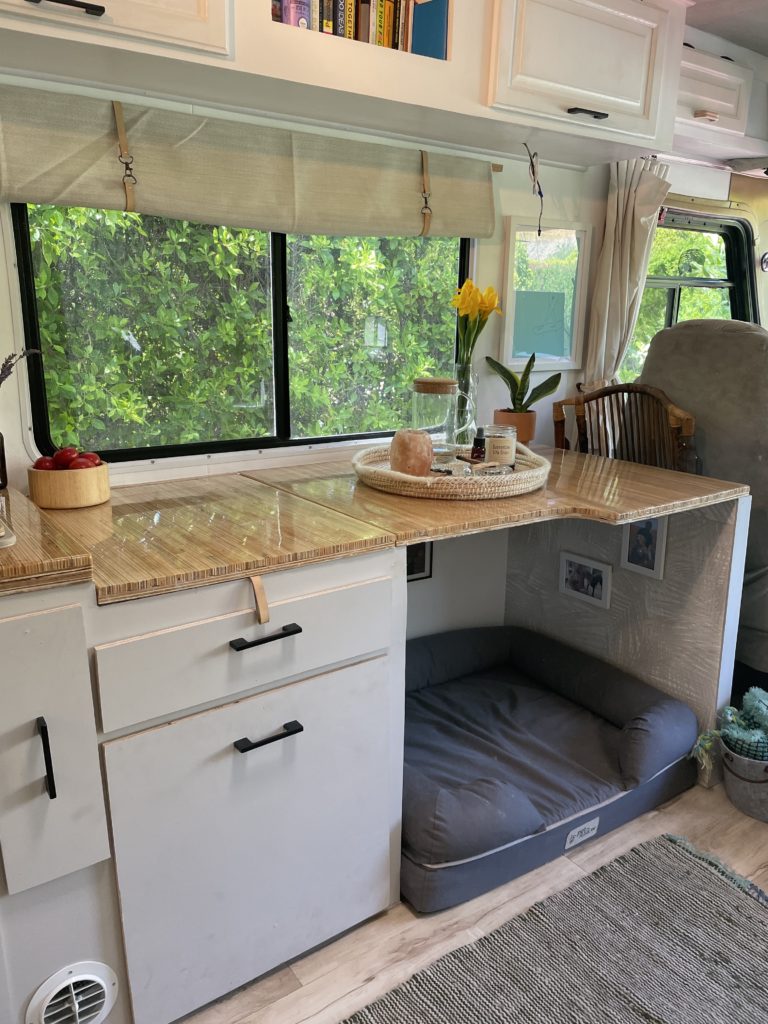 Georgie Boy Swinger picture