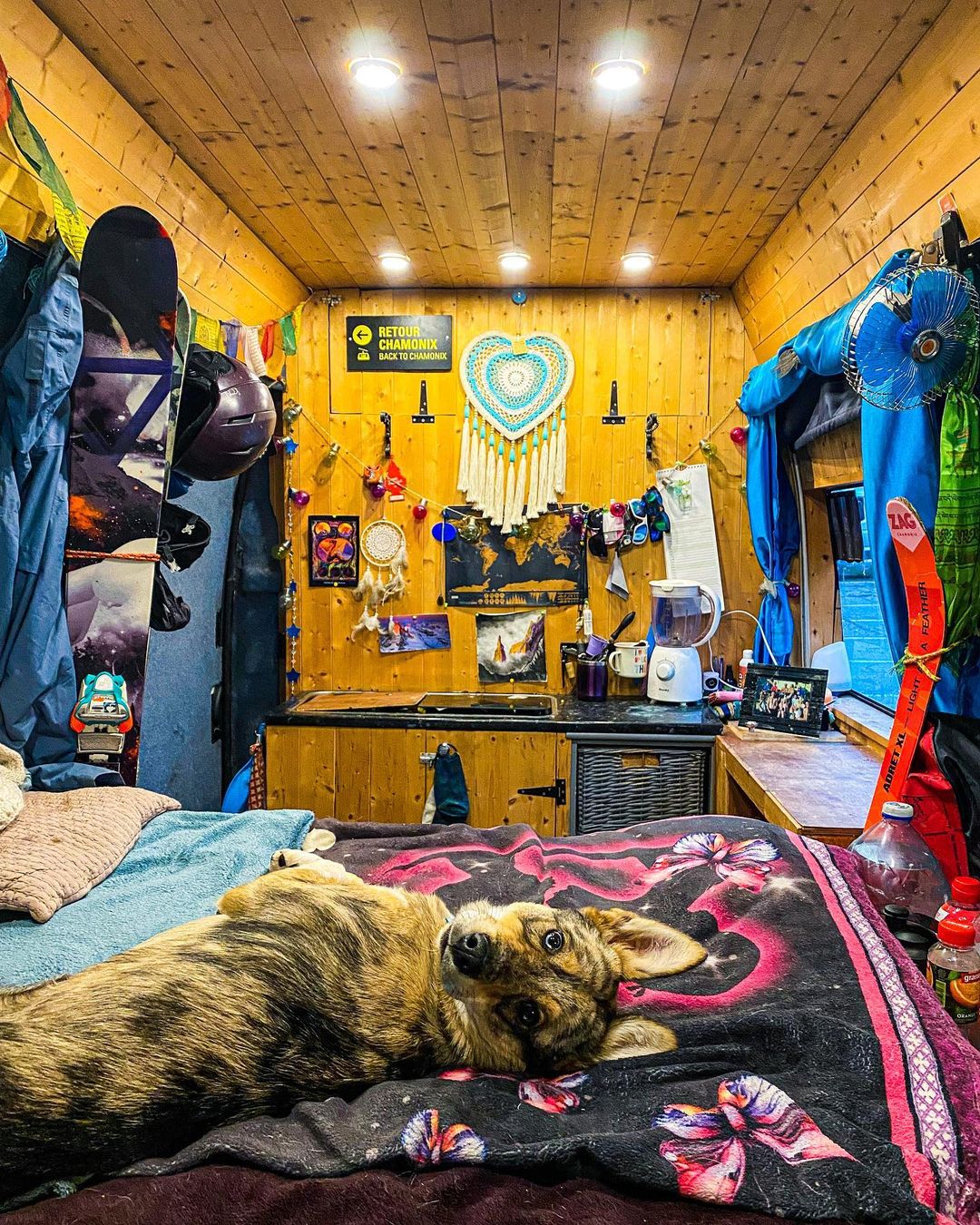 Van Life Academy Project Van Life